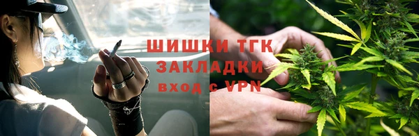 стаф Алексеевка