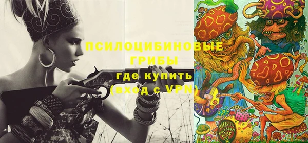 индика Алзамай