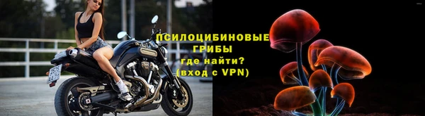 меф Алексин