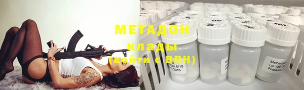 индика Алзамай