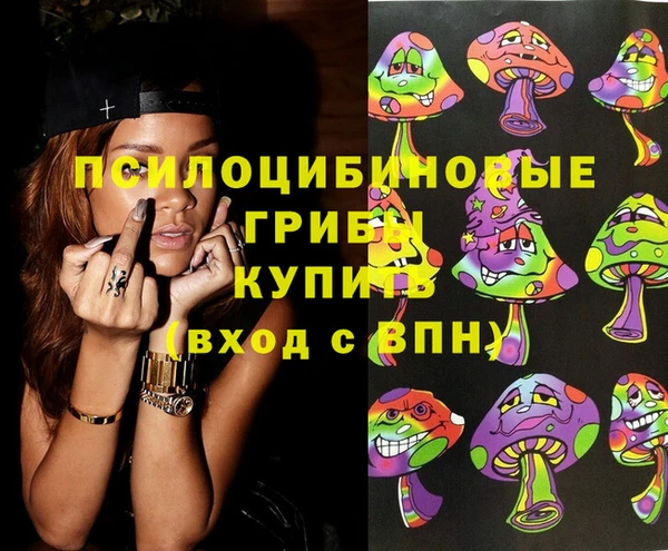 индика Алзамай