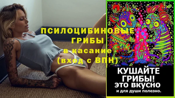 индика Алзамай