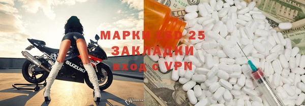 индика Алзамай