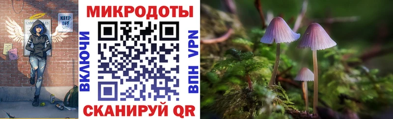 Псилоцибиновые грибы Psilocybine cubensis  кракен рабочий сайт  Навашино 